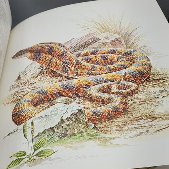 Character Sketches from the Pages of Scripture Illustrated Gothard 1st Edition - Picture 9 of 15